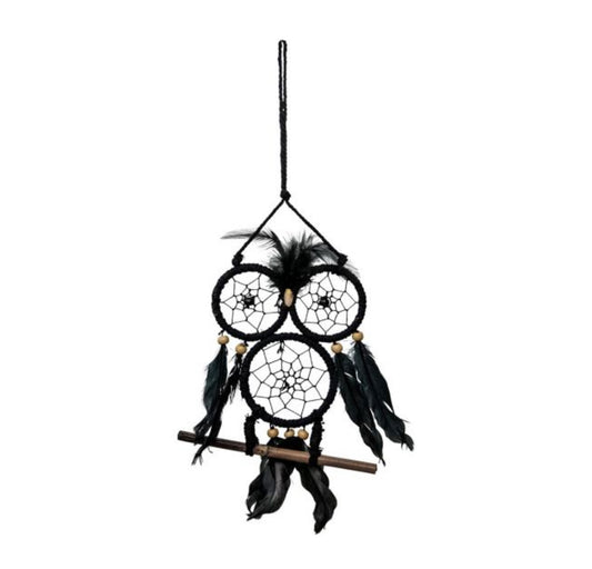 Wise owl dream catcher