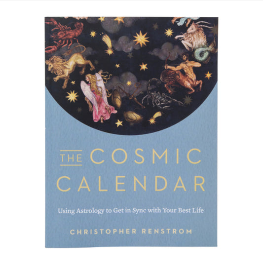 The cosmic calendar book