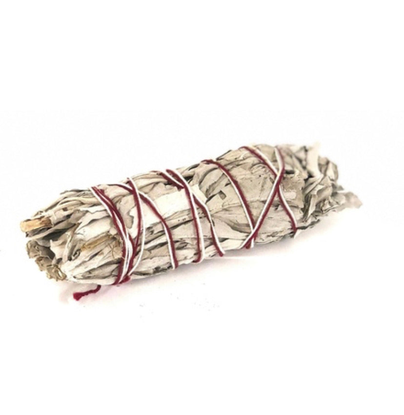 White Sage Smudge (3-4'')