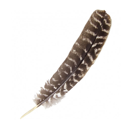 Turkey feather